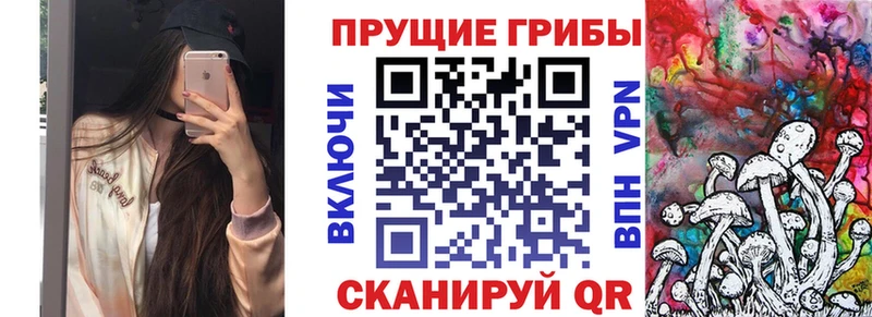 Псилоцибиновые грибы MAGIC MUSHROOMS  Купить где  Геленджик 