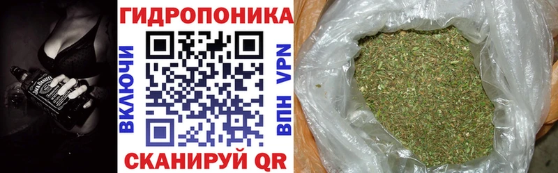 Бошки Шишки гибрид Геленджик